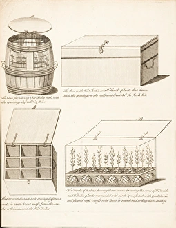 Added Gallery: Containers for transporting & storing plants & seeds