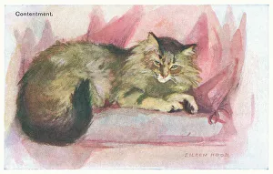 Reclining Prints: Contented Cat