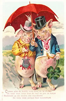 Contented Collection: Contented pig couple on a French postcard