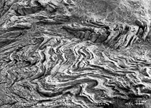 Strata Prints: Contorted Schists, Rossapena, North West Donegal