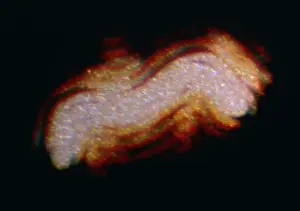 Change Prints: Contorting UFO over Hessdalen, Norway