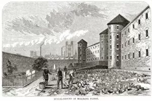 Convicts burial ground, Millbank Prison