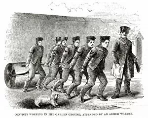 Convicts working in garden, Millbank Prison