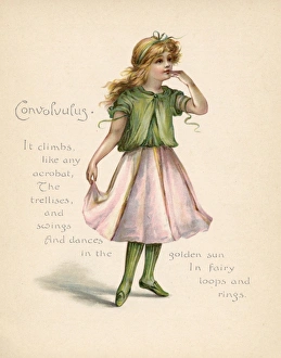 Personified Gallery: Convolvulus / Language of Flowers