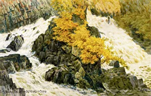 Cascade Prints: Conway Falls, near Betws y Coed, Conwy, Wales