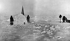 Images Dated 18th August 2004: Cooks Expedition at the North Pole, 1908