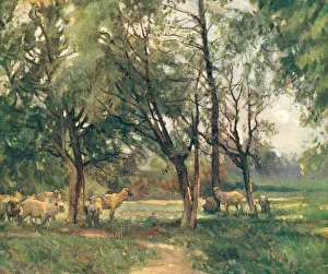 In Cool Pastures