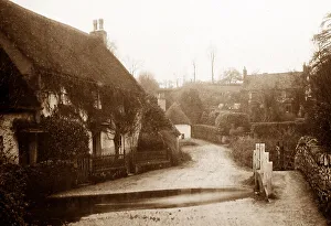 Coombeinteignhead devon
