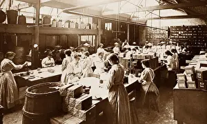 Cooperative Prints: Cooperative Wholesale Society Bicuit factory Crumpsall