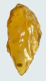 Resin Prints: Copal