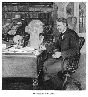 Drinker Prints: COPE / HARPERS / 1897