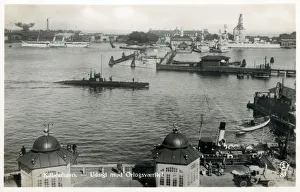 Fleet at Copenhagen