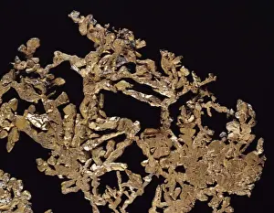 Branched Prints: Copper