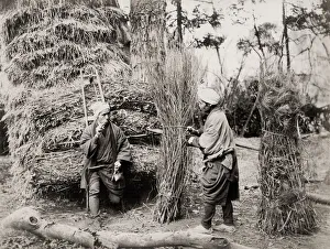 Coppicing, forestry workers, Japan