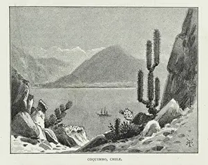 Darwin200 Prints: Coquimbo, Chile