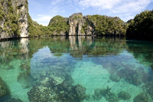 Images Dated 20th January 2008: Corals in quiet and clear waters of a Big Lagoon