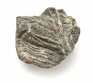 Scott Expedition Gallery: Cordierite-biotite-gneiss