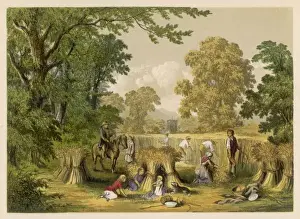 Corn Harvest, Britain