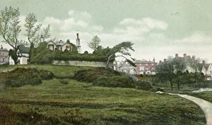 A corner of the Common, Tunbridge Wells, Kent