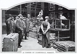 Caged Gallery: Corner of Leadenhall Market, London 1900