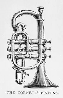 1897 Collection: Cornet on its Own