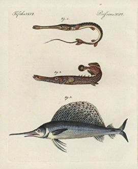 Card - Children Fishing