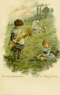 In the Cornfield