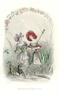 Cornflower and poppy flower fairies