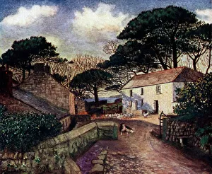 Chickens Prints: Cornish Farm