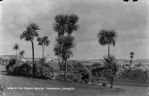 Seascape Prints: On the Cornish Riviera