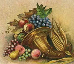 Celebrations Prints: Cornucopia with Fruit Spilling Out