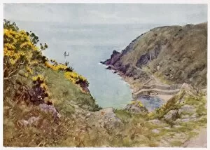 Cornish Collection: Cornwall / Lamorna Cove
