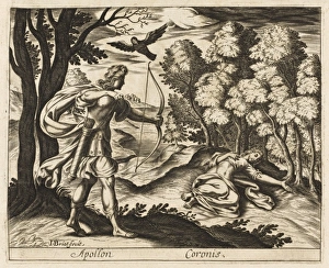 Aesculapius Gallery: Coronis (Ma Aesculapius)