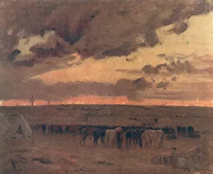 The Corral
