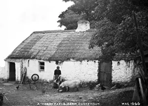 Feeding Prints: A Corrymeela Farm, Cushendun