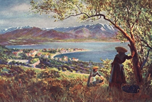 Images Dated 27th September 2012: Corsica / Ajaccio 1909