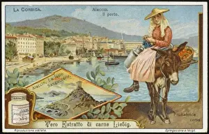 Corsica / Ajaccio / Liebig