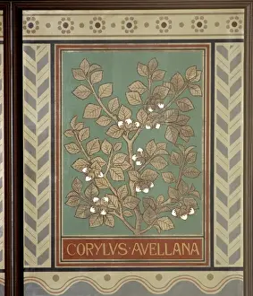 Hazel Prints: Corylus avellana, hazel