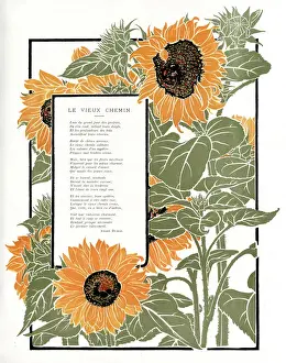 Surround Prints: COSSARD SURROUND 1
