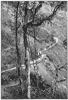 1887 Prints: Costa Rica Mountain Road