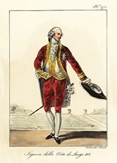 Courtier Prints: Costume of a nobleman at the court of King Louis XVI of France