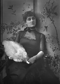 Passementerie Prints: Costume Photo 1889