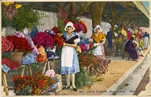 Cote D azur / Flowers
