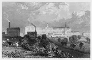 Coton Mill / Swainson / 1835