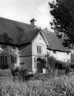 Cotswold Thatch