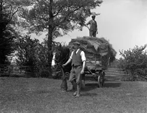 Cotswolds Prints: Cotswolds Hay Cart