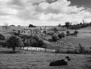 Cotswolds Prints: Cotswolds Scenery