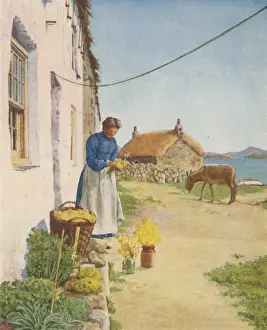 Cottage Flower-Grower