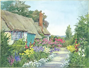 A cottage garden
