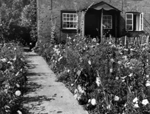 Cottage Garden Border